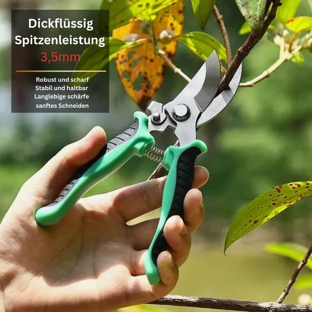 Multifunktionale Gartenschneider: Edelstahl-Schneider für das Beschneiden, Gärtnern und mehr! - Argo-Odyssee