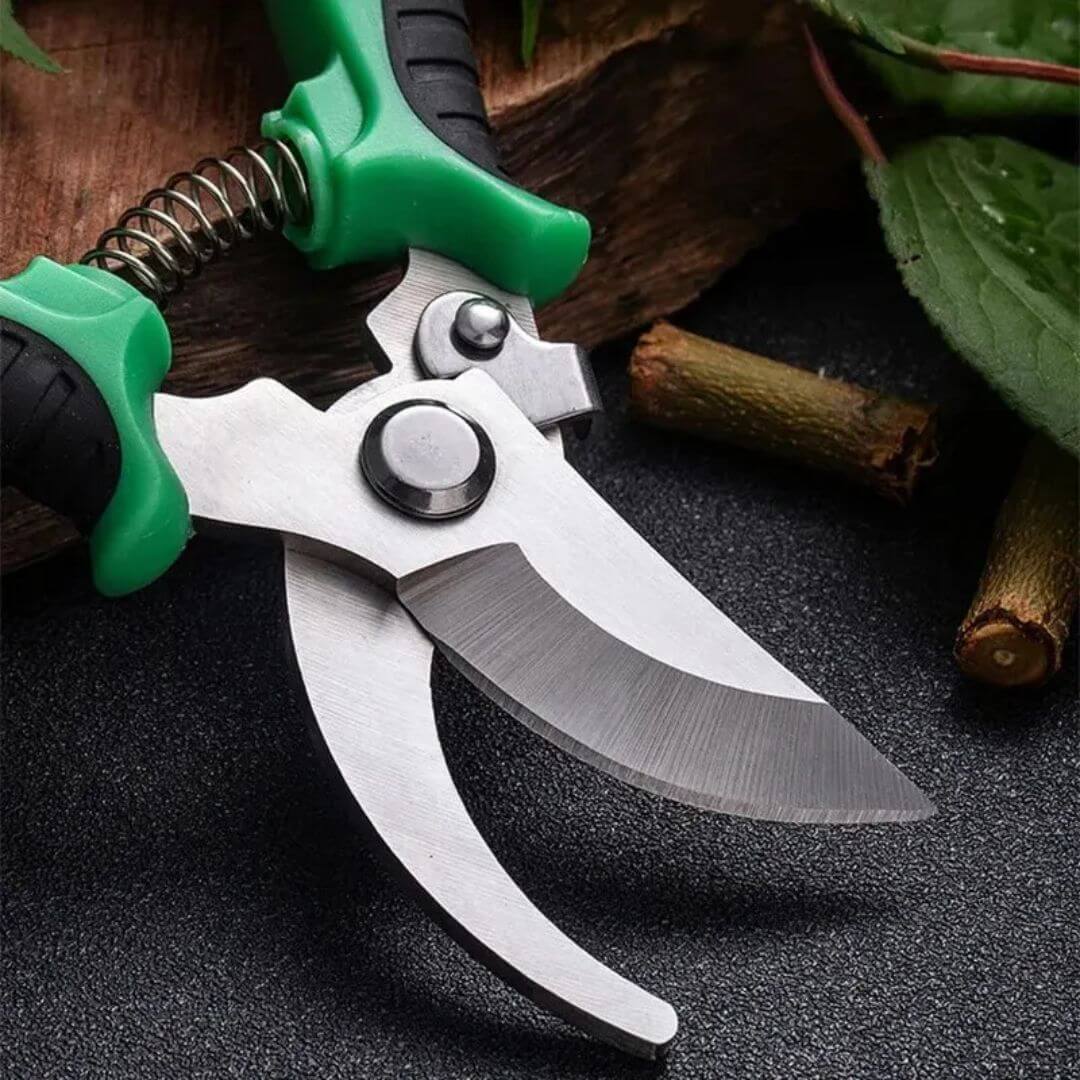 Multifunktionale Gartenschneider: Edelstahl-Schneider für das Beschneiden, Gärtnern und mehr! - Argo-Odyssee